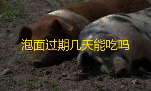 冰块直装V5.0无需卡密泡面过期几天能吃吗